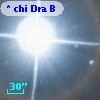 * chi Dra B