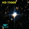 HD  75909
