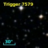 Trigger  7579