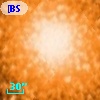 [BSL2001] J091204.0427-645202.118