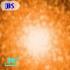 [BSL2001] J091204.0494-645131.428