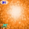 [BSL2001] J091204.1370-645203.160
