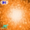 [BSL2001] J091204.1469-645144.901