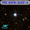 TYC 3174-1117-1