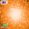 [BSL2001] J091204.2070-645147.328