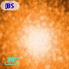 [BSL2001] J091204.2566-645128.713