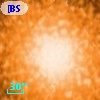 [BSL2001] J091204.2600-645134.792