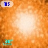 [BSL2001] J091204.3342-645149.594