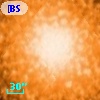 [BSL2001] J091204.3394-645153.144