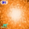 [BSL2001] J091204.3405-645146.897