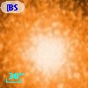 [BSL2001] J091204.3637-645126.456