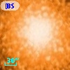 [BSL2001] J091204.4418-645153.678