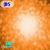 [BSL2001] J091204.4618-645146.348
