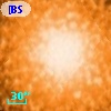 [BSL2001] J091204.7072-645150.571