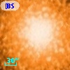 [BSL2001] J091204.7097-645152.077