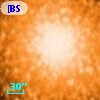 [BSL2001] J091204.7424-645156.309