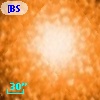[BSL2001] J091204.8810-645155.461