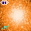 [BSL2001] J091204.9409-645146.912