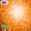 [BSL2001] J091204.9871-645207.169