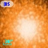 [BSL2001] J091205.1683-645128.085