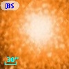 [BSL2001] J091205.1834-645201.781