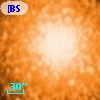 [BSL2001] J091205.2552-645155.738