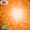 [BSL2001] J091205.3626-645151.759