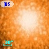 [BSL2001] J091205.3795-645201.614