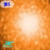 [BSL2001] J091205.4422-645150.953