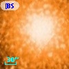 [BSL2001] J091205.5146-645200.486