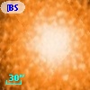 [BSL2001] J091205.5171-645149.484