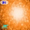 [BSL2001] J091205.6226-645155.549