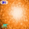 [BSL2001] J091205.6993-645155.650