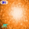 [BSL2001] J091205.7199-645154.322