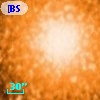 [BSL2001] J091205.7831-645201.018