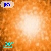 [BSL2001] J091205.7953-645147.011