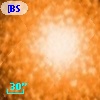 [BSL2001] J091205.8204-645154.924
