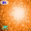 [BSL2001] J091205.8244-645158.104