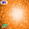 [BSL2001] J091205.8267-645149.230