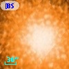 [BSL2001] J091205.8293-645133.586