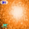 [BSL2001] J091205.9105-645159.517