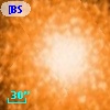 [BSL2001] J091205.9249-645141.739