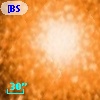[BSL2001] J091205.9253-645201.326
