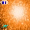 [BSL2001] J091205.9634-645203.745