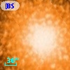 [BSL2001] J091206.1582-645134.956