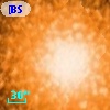 [BSL2001] J091206.3298-645132.508