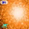[BSL2001] J091206.5056-645156.901