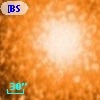 [BSL2001] J091206.5065-645201.353