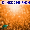 Cl* NGC 2808    PKD   46041
