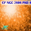 Cl* NGC 2808    PKD   47145